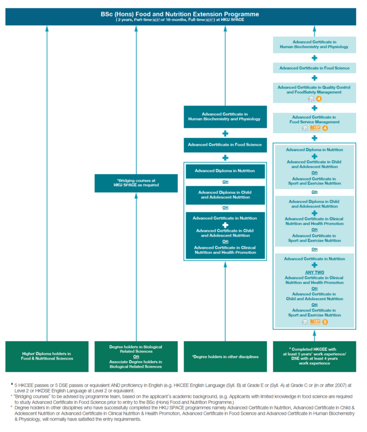 Progression Path 2025